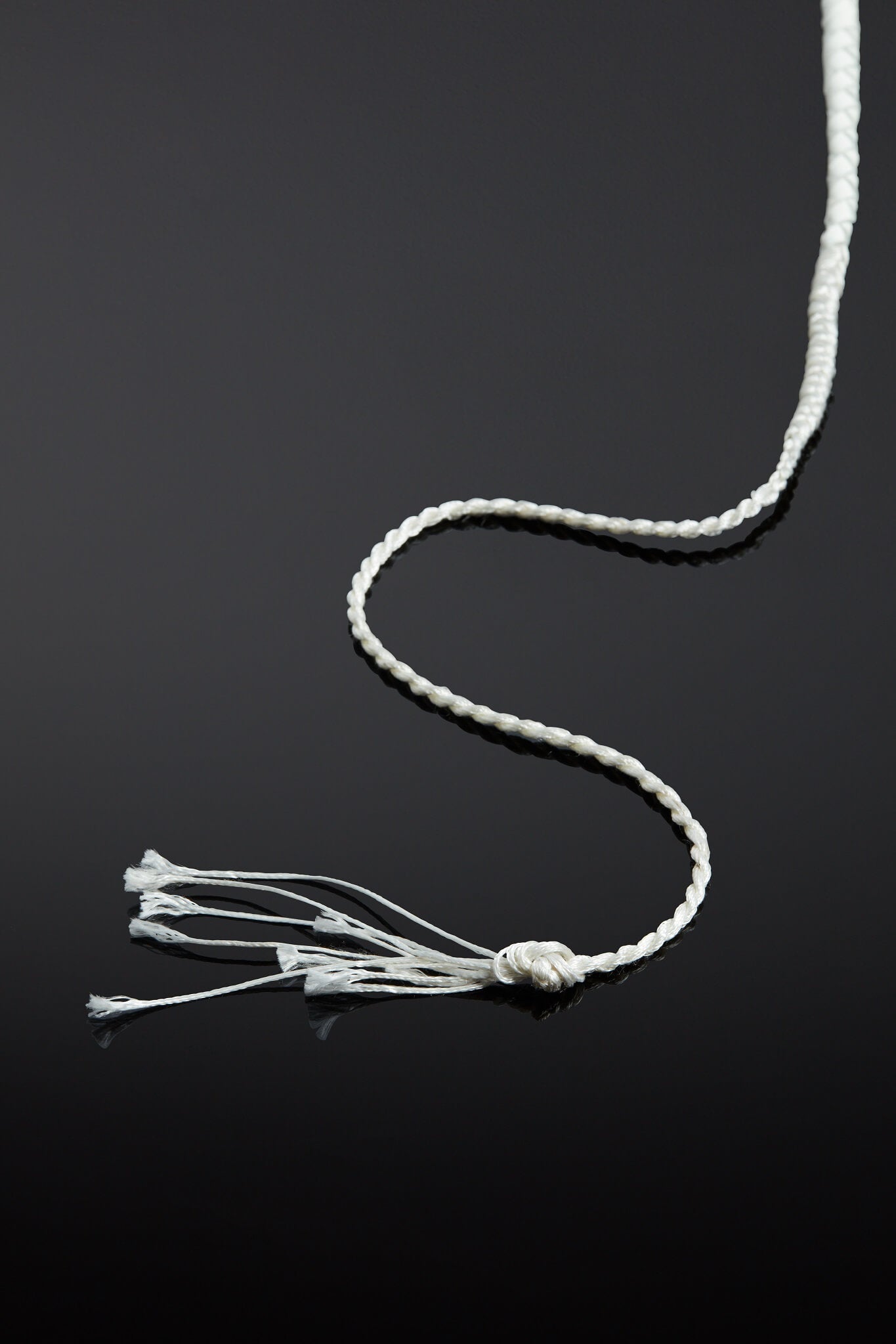 House of SXN Albus Patent Leather Whip