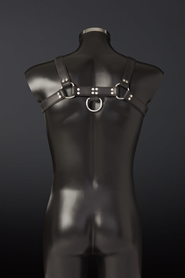 House of SXN Audax Harness