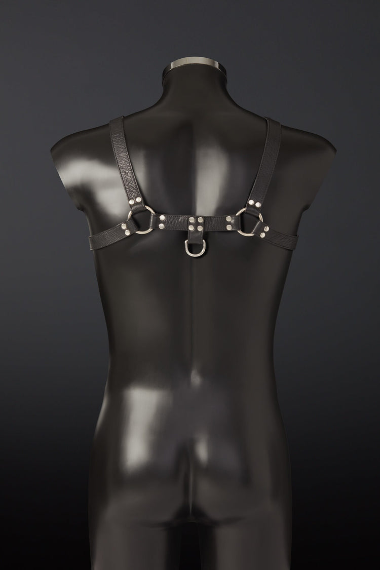 House of SXN Classic Leather Chest Harness