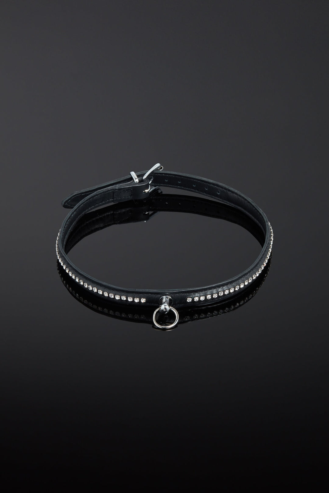Opulenta Elegans Leather Collar | House of SXN