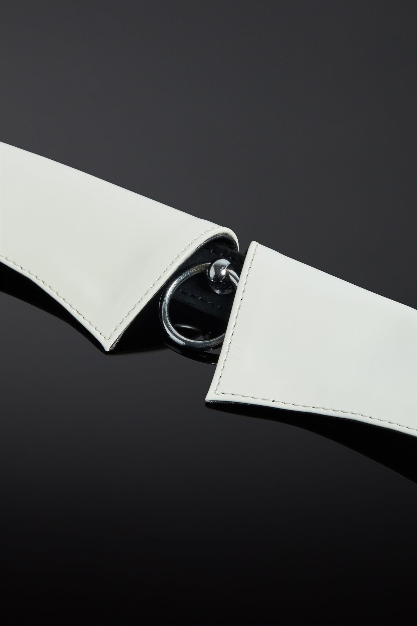 Pristinum Patent Leather Slave Collar