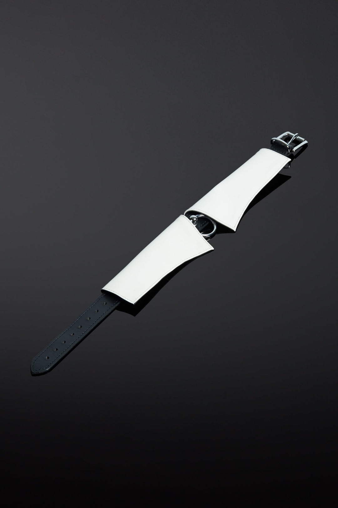 Pristinum Patent Leather Slave Collar