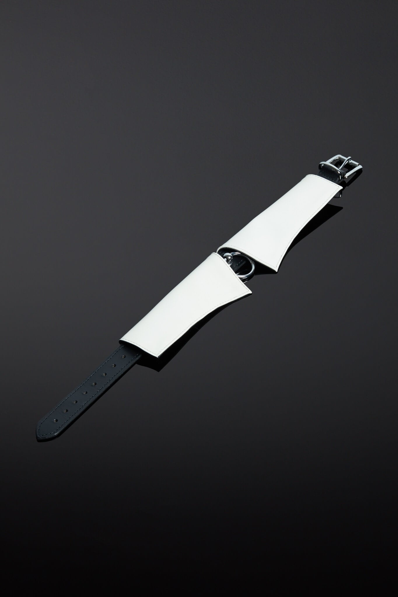 Pristinum Patent Leather Slave Collar
