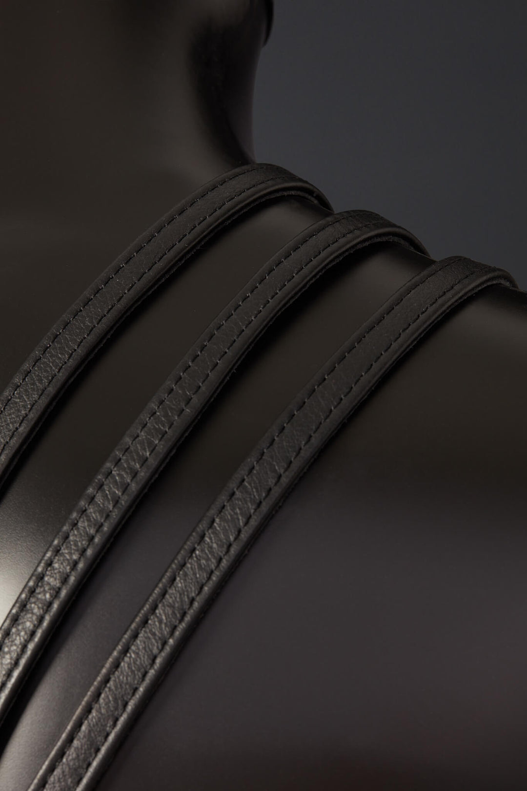 House of SXN Spartanus Leather Harness