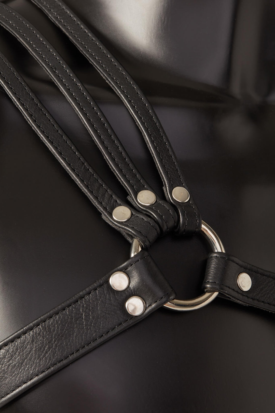 House of SXN Spartanus Leather Harness