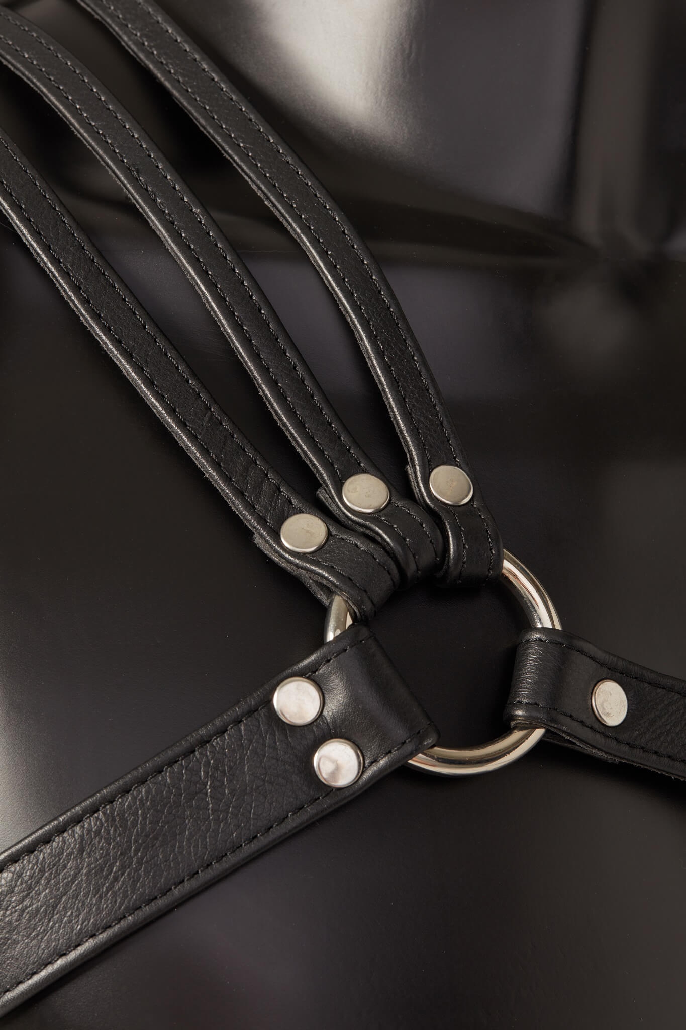 House of SXN Spartanus Leather Harness