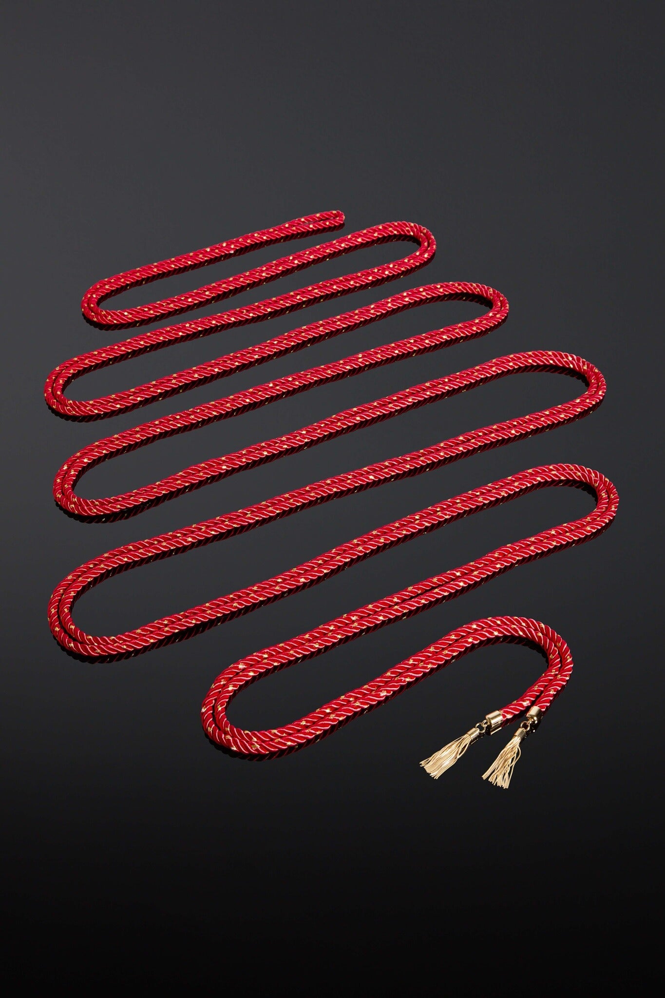 House of SXN Ligata Rubra Restraint Conducive Rope