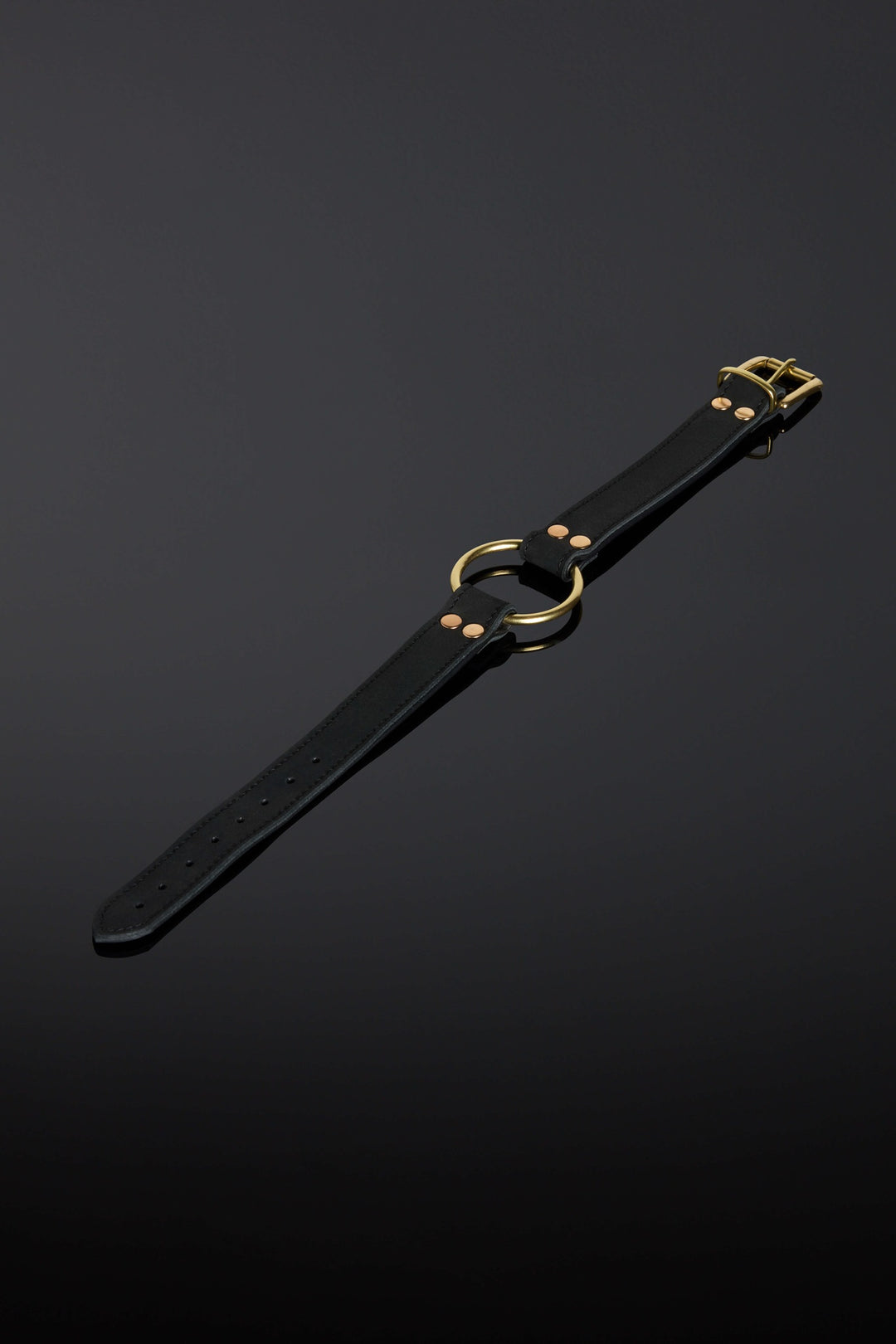 Flat shot of Nocturne Collar