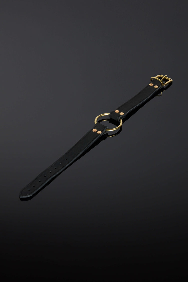 Flat shot of Nocturne Collar