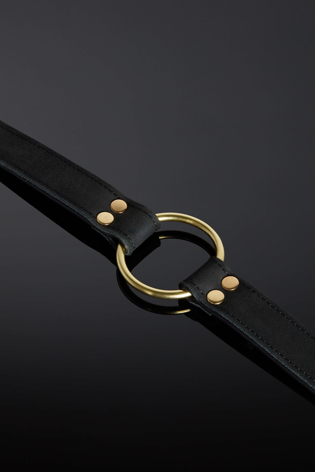 Closeup of O-Ring on Nocturne collar