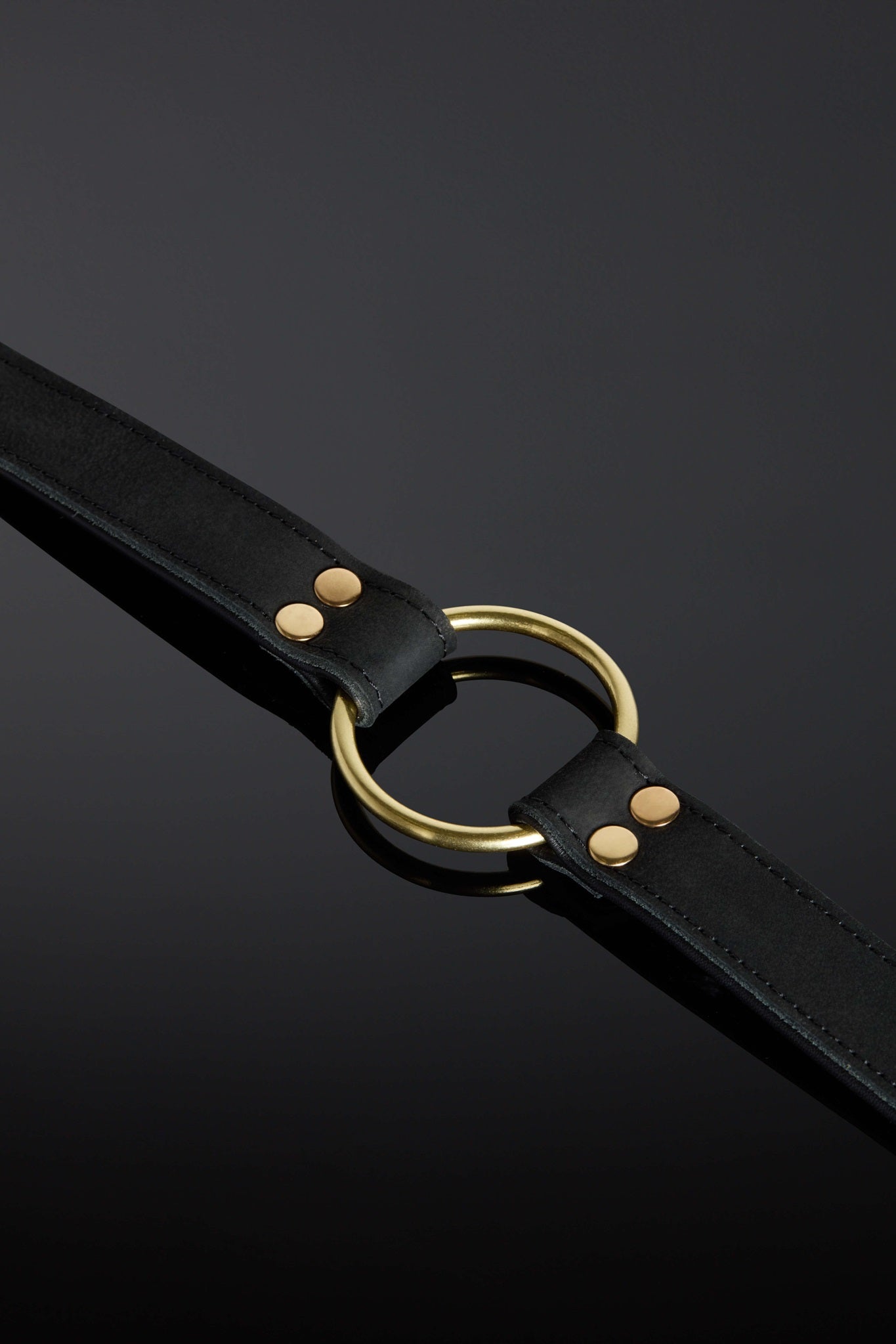Closeup of O-Ring on Nocturne collar