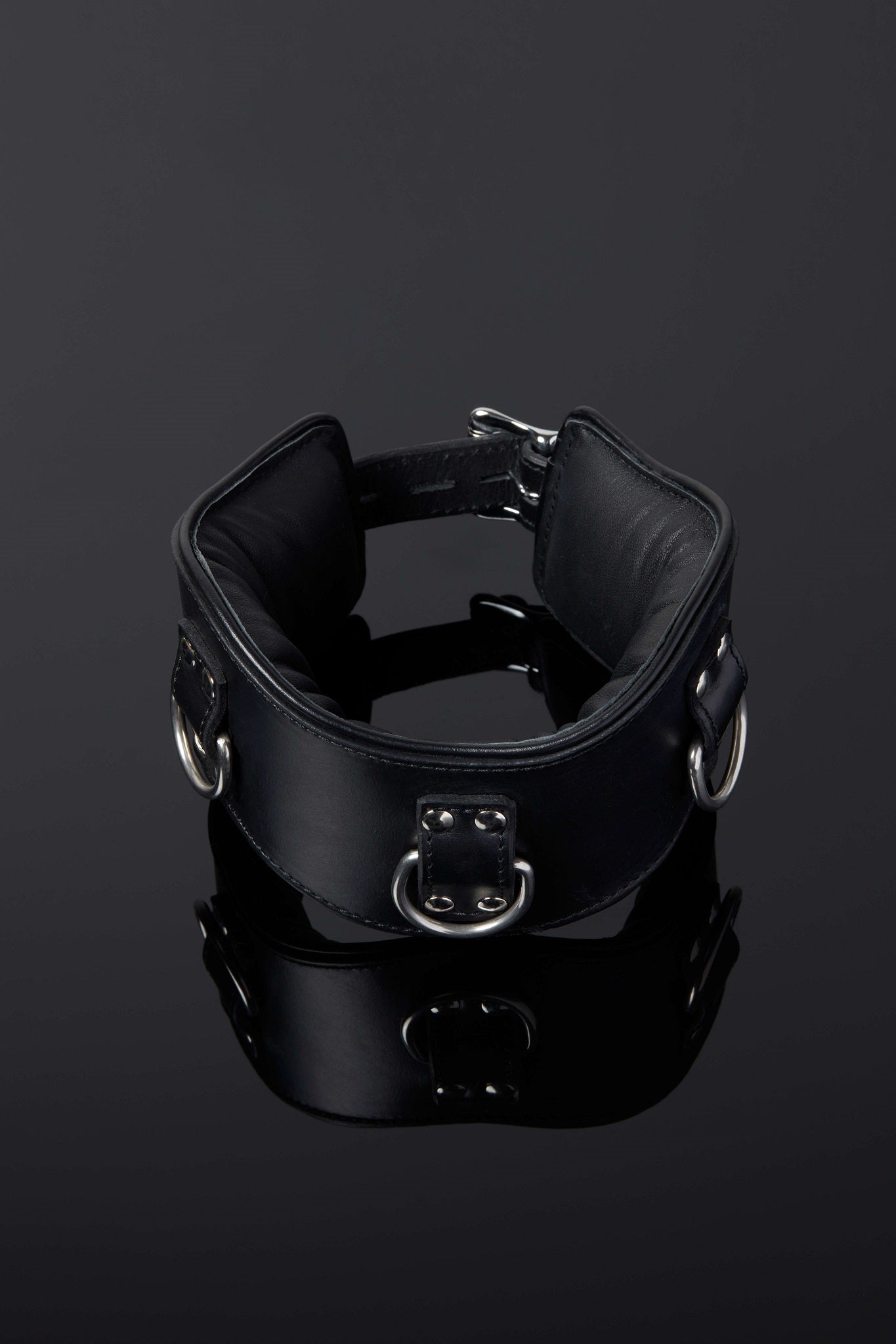 House of SXN Servage Classic Posture Collar High