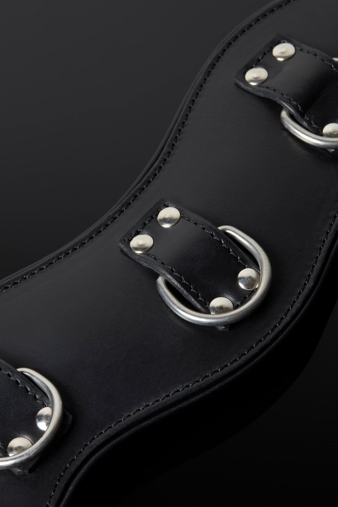 House of SXN Servage Classic Posture Collar High 3