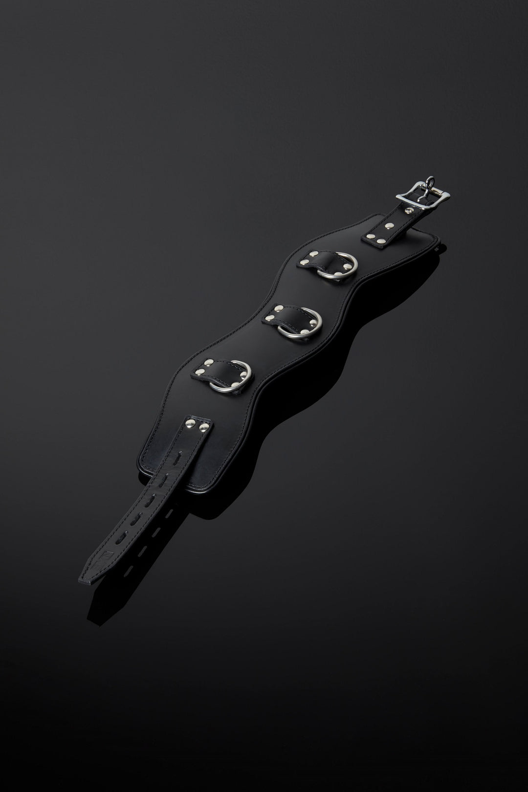 House of SXN Servage Classic Posture Collar High 2