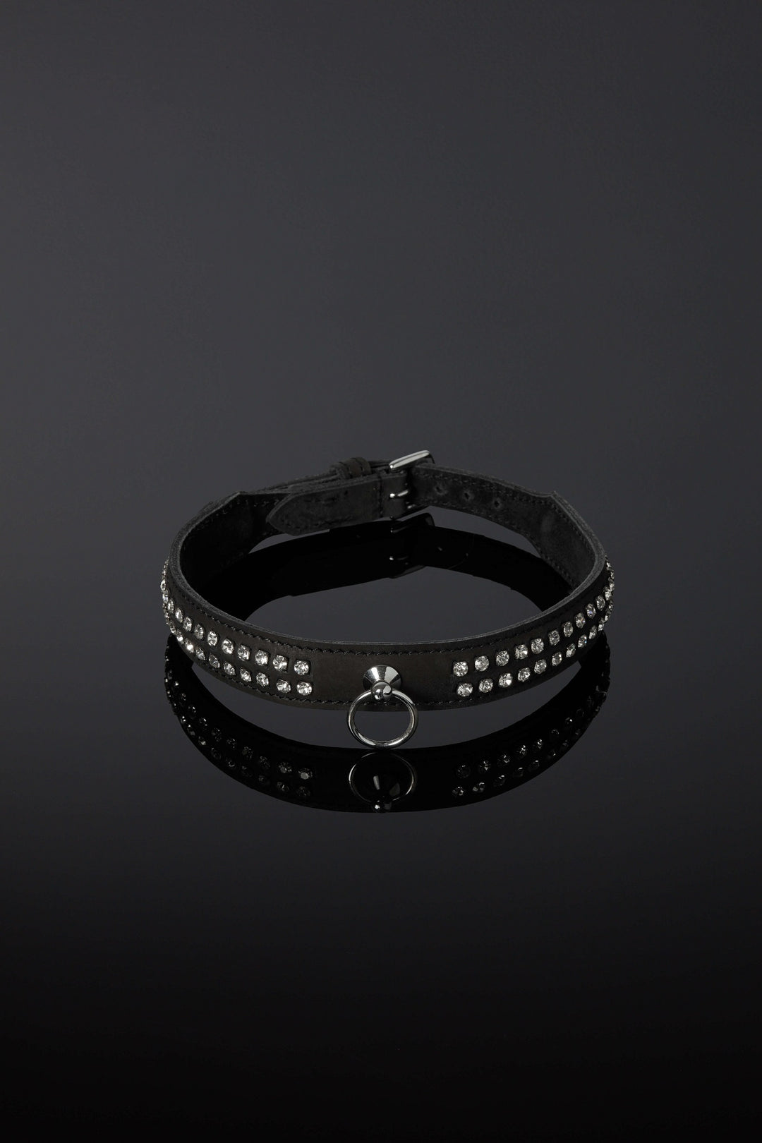 House of SXN Opulenta Subtilis Collar