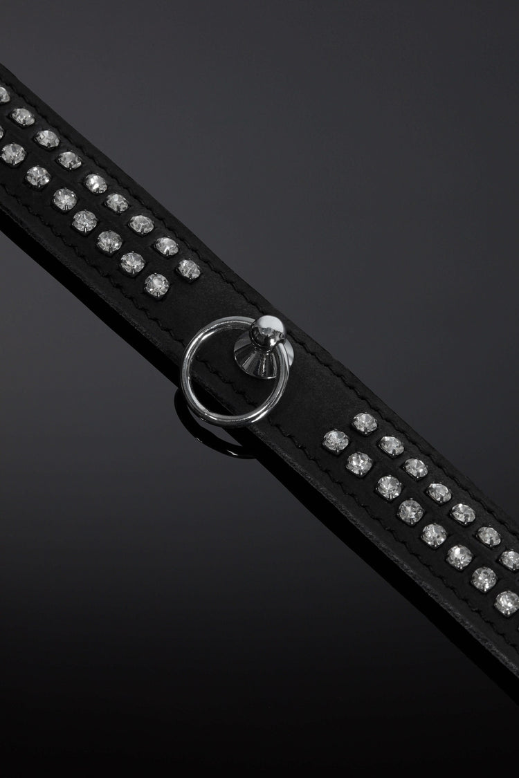 House of SXN Opulenta Subtilis Collar 3