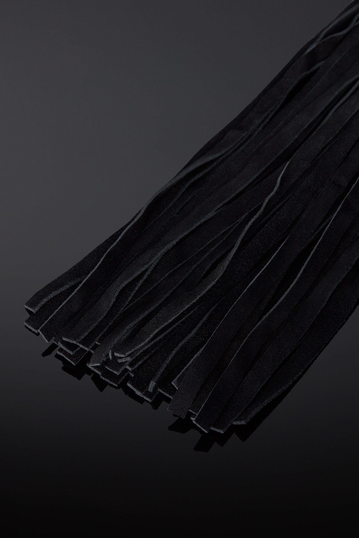 House of SXN Rex Argenti Silver Handle Flogger Falls