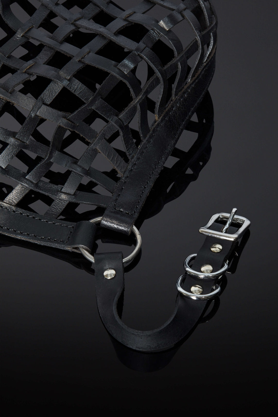 House of SXN Rose Obscura Mask