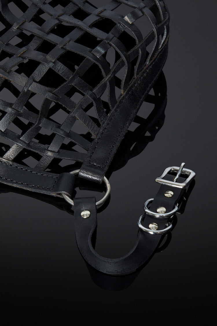 House of SXN Rose Obscura Mask