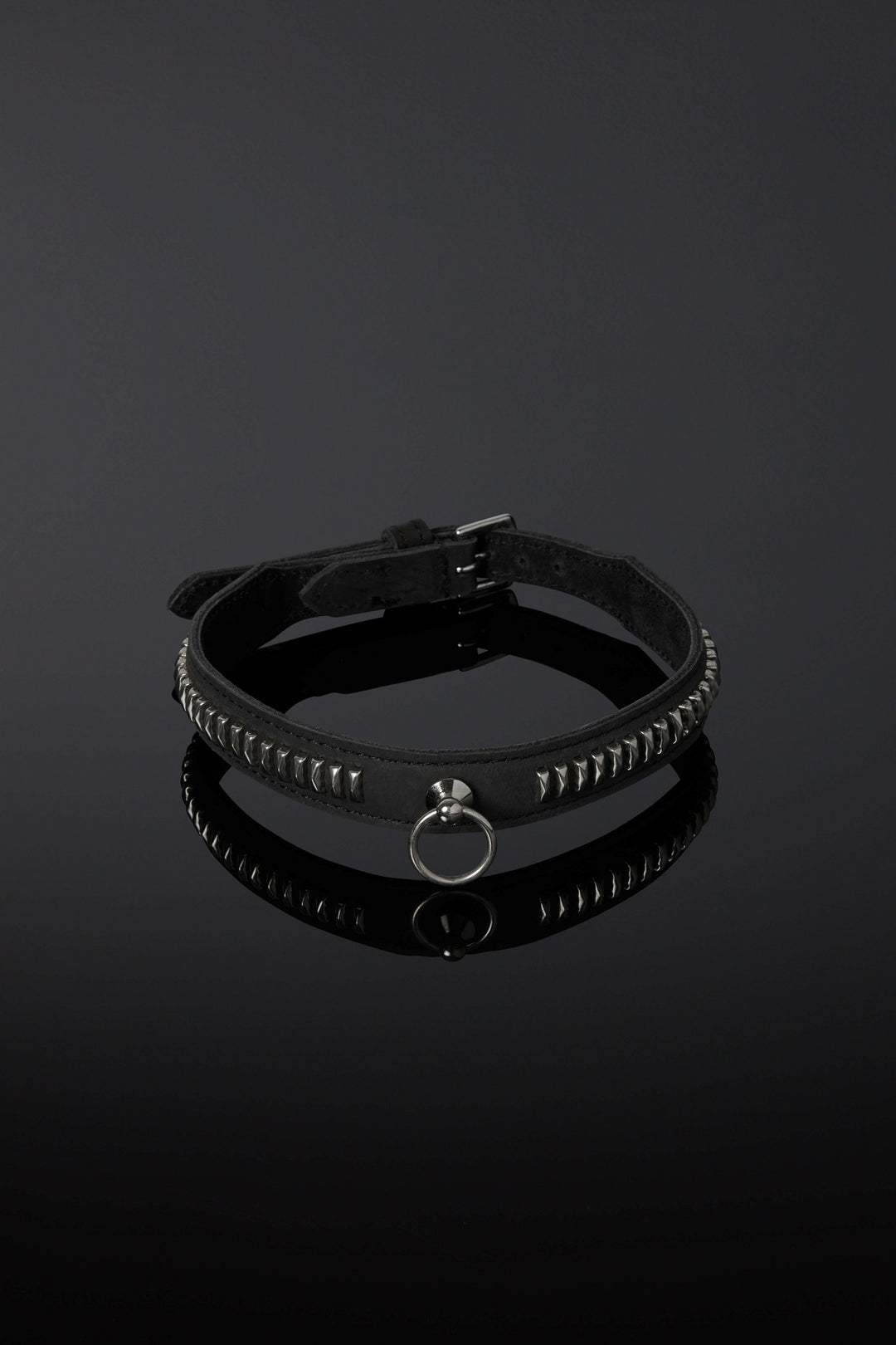 House of SXN Vectis Slave Collar
