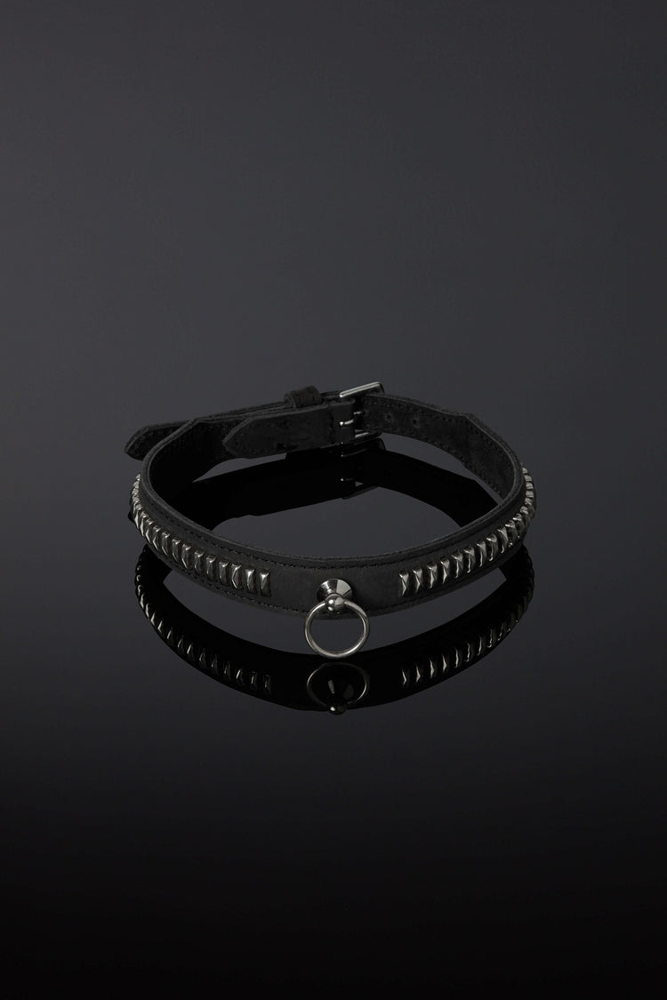House of SXN Vectis Slave Collar