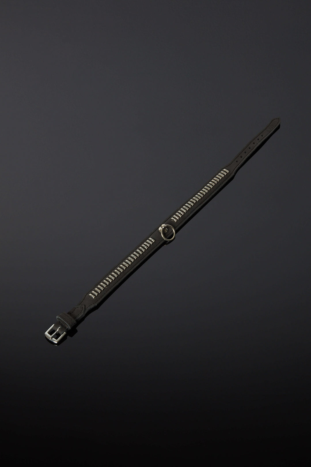 House of SXN Vectis Slave Collar 2