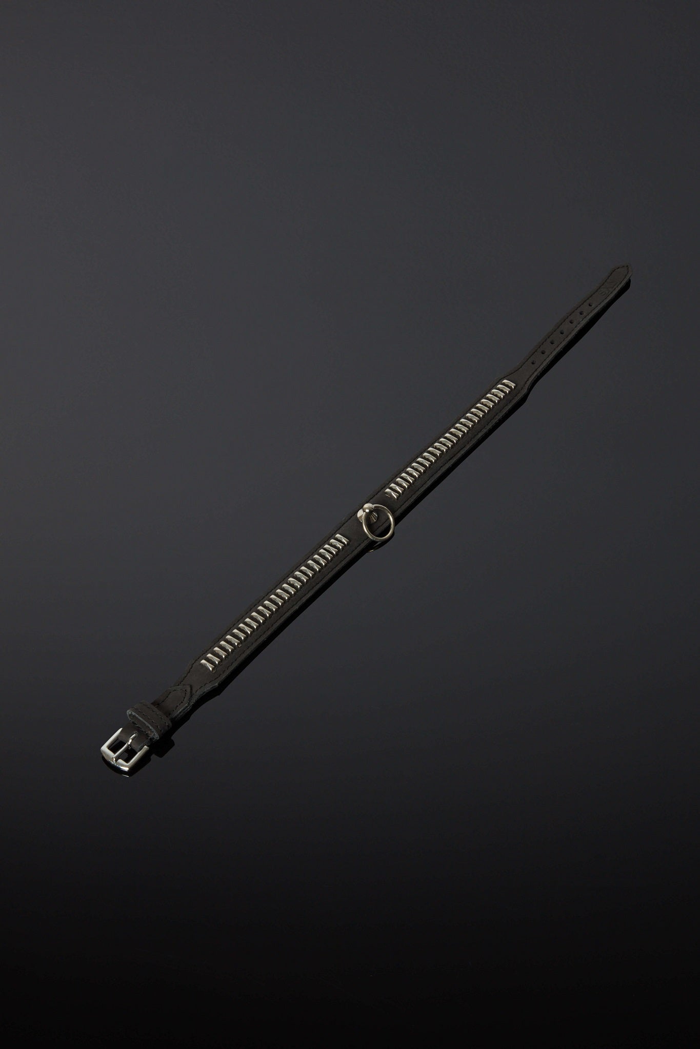 House of SXN Vectis Slave Collar 2