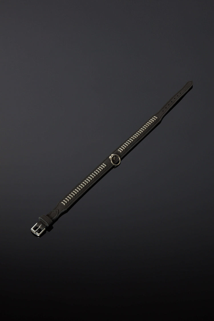 House of SXN Vectis Slave Collar 2