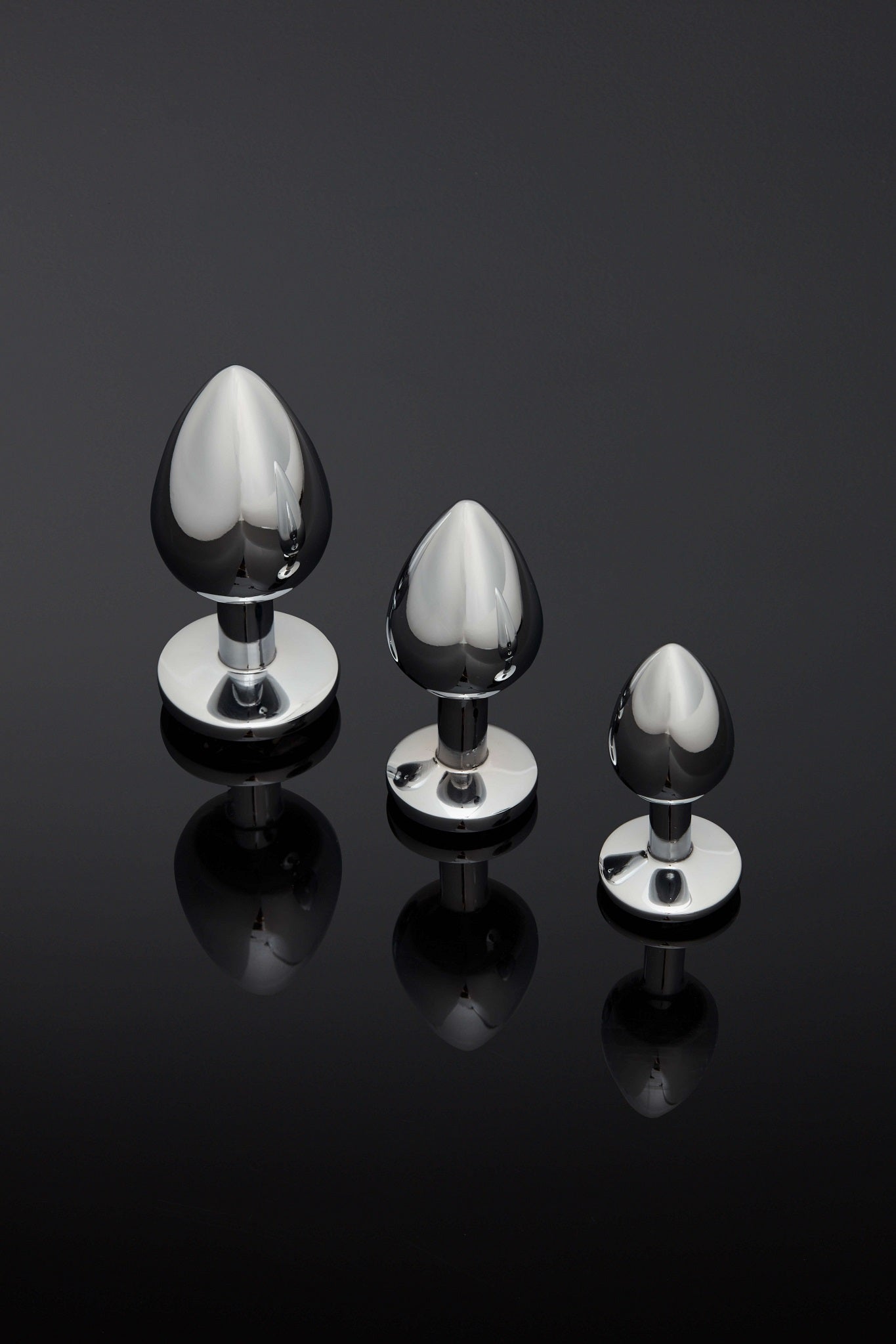 House of SXN Stainless Steel Luxury Butt Plug 4