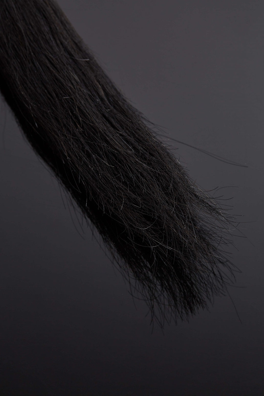 House of SXN Equi Horse Hair Flogger