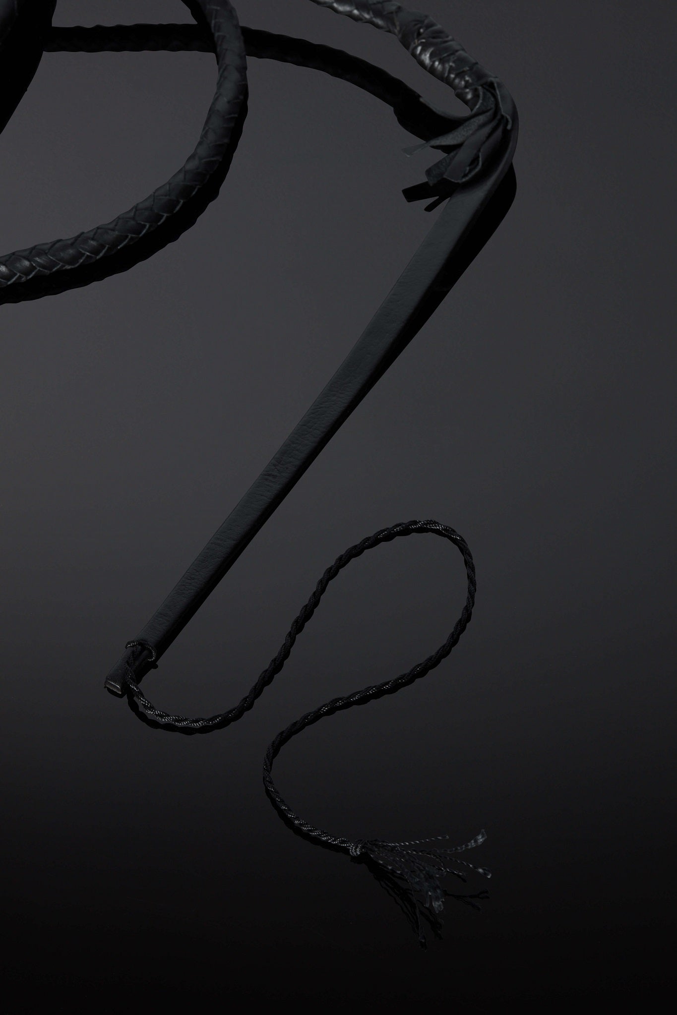 House of SXN Flagella Leather Whip 3