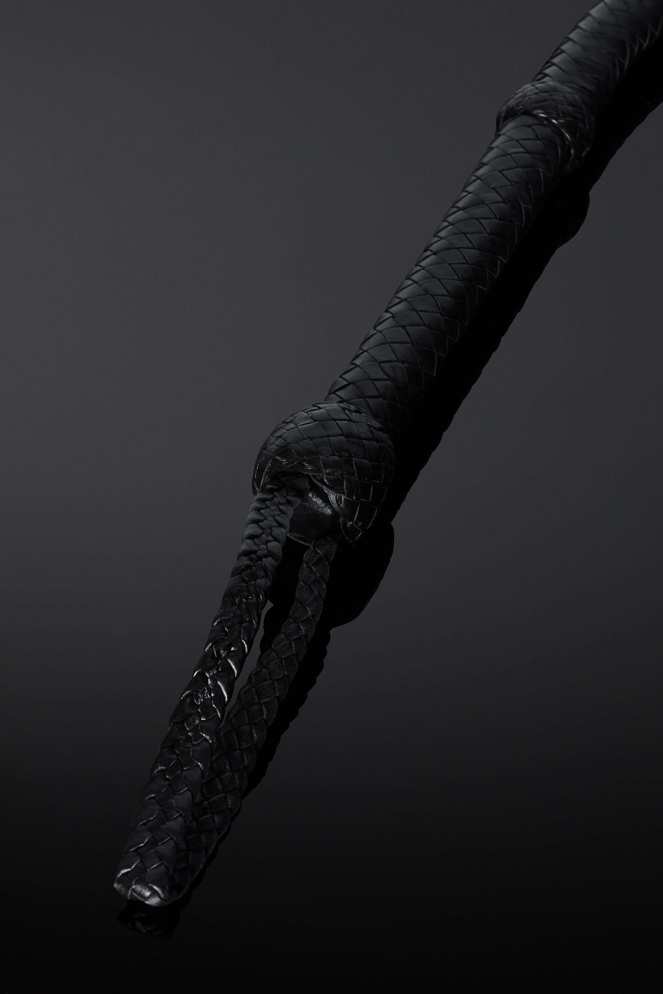 House of SXN Flagella Leather Whip 4