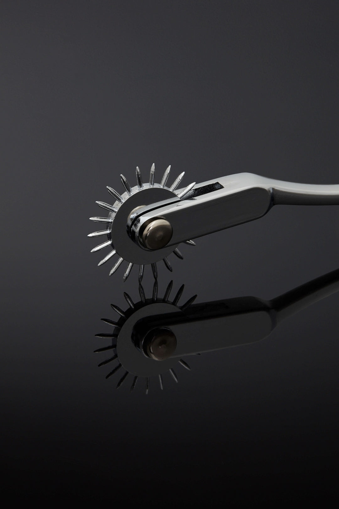 House of SXN Wheel Pinwheel 2