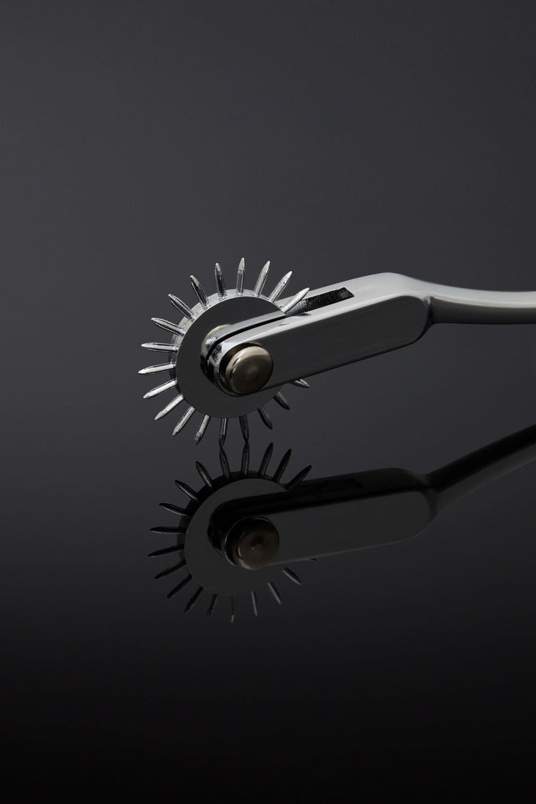 House of SXN Wheel Pinwheel 2