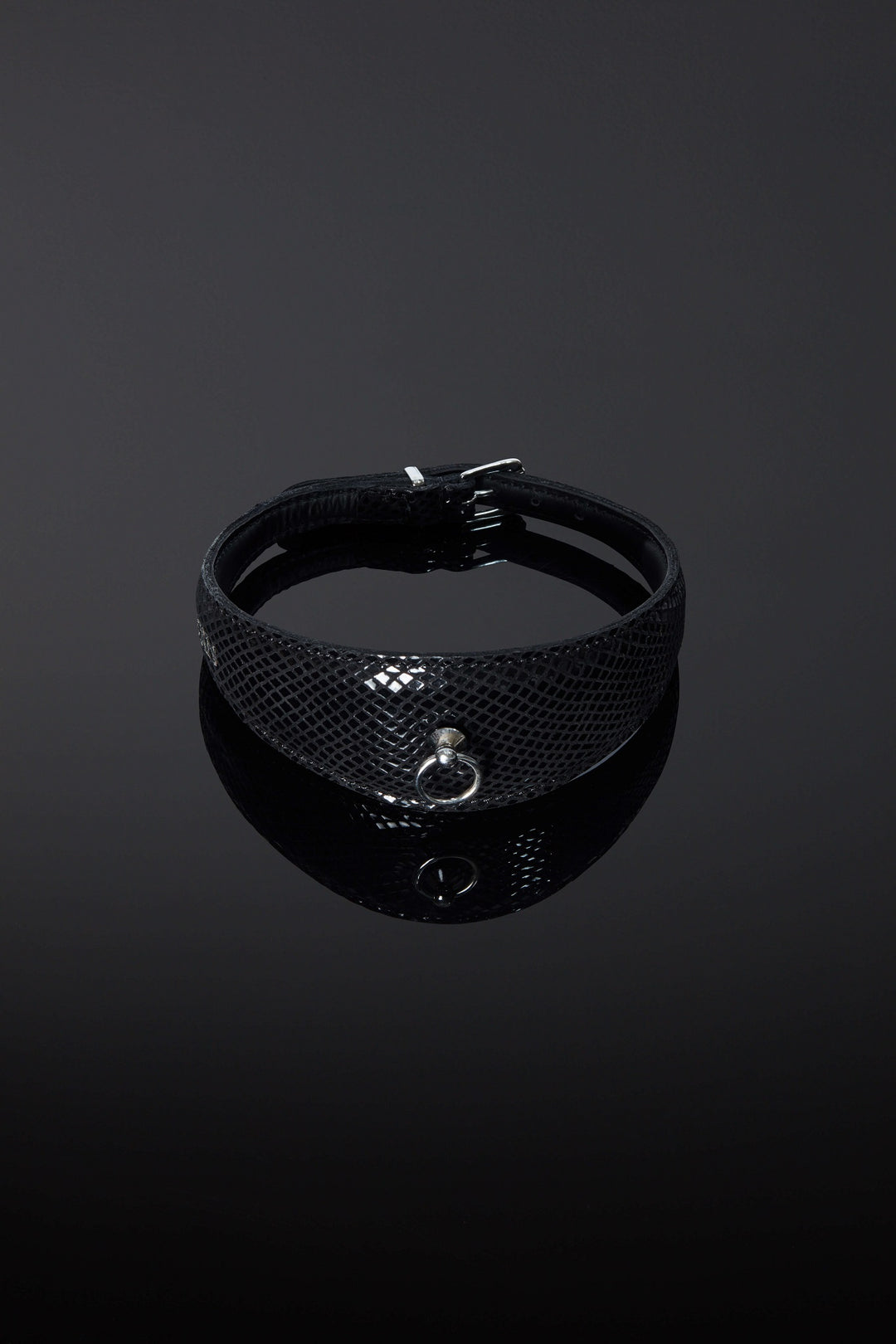 House of SXN Classic Serpens Collar