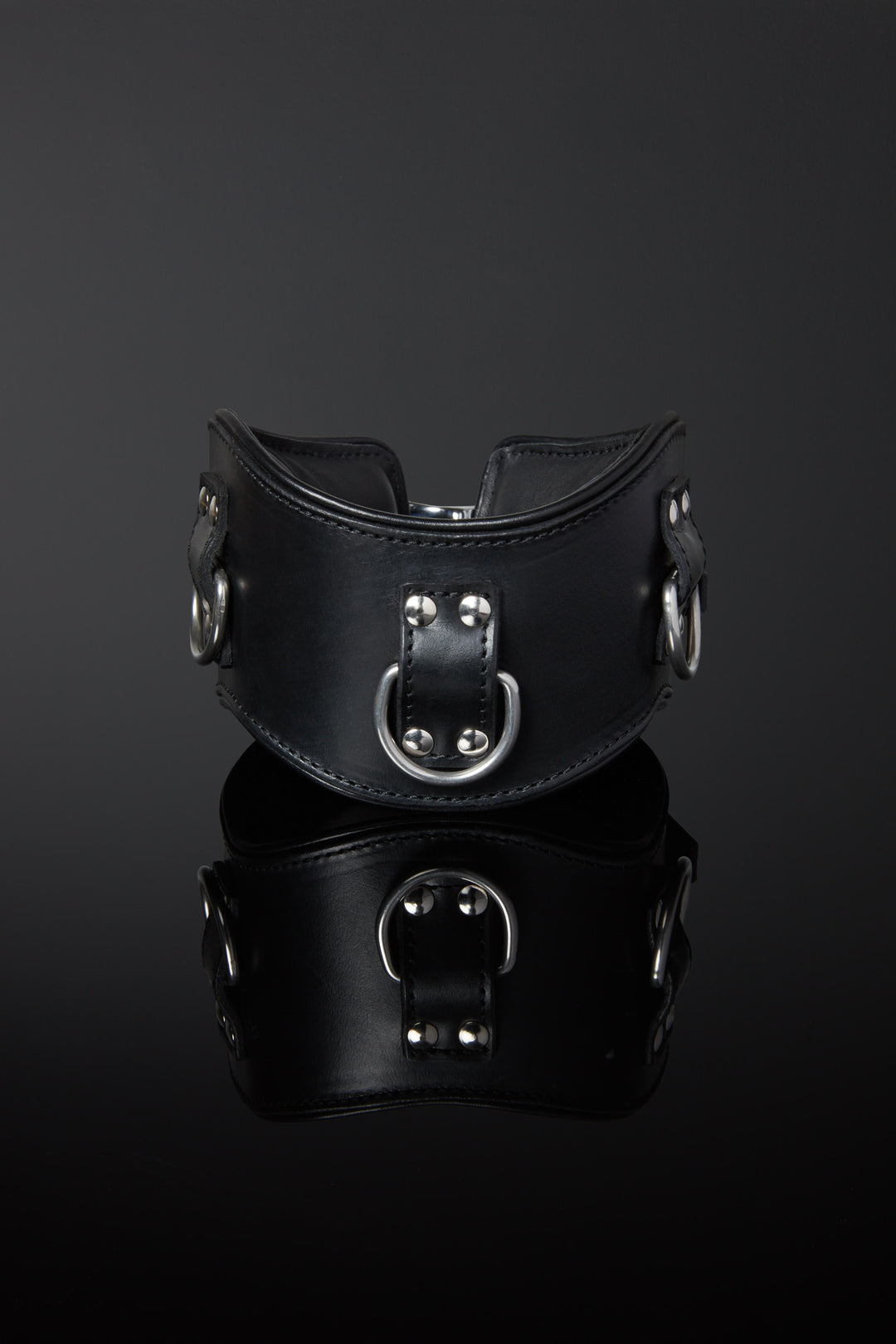 House of SXN Servage Classic Posture Collar High Main
