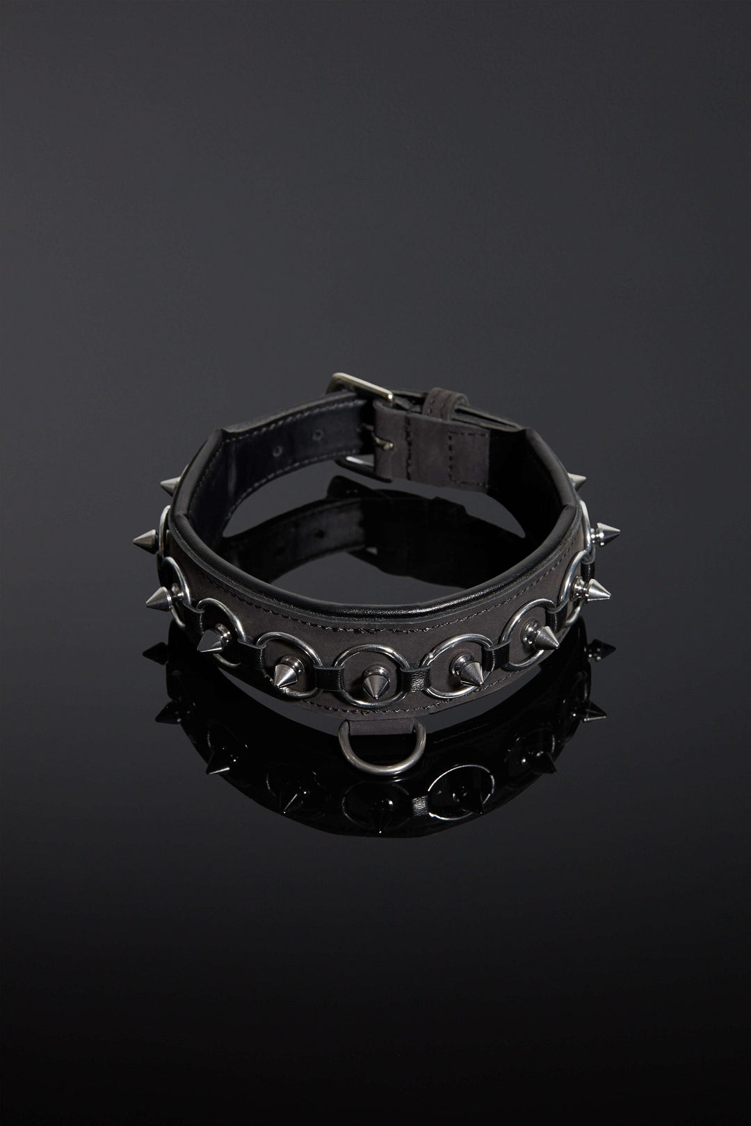 House of SXN Servus Leather BDSM Slave Collar