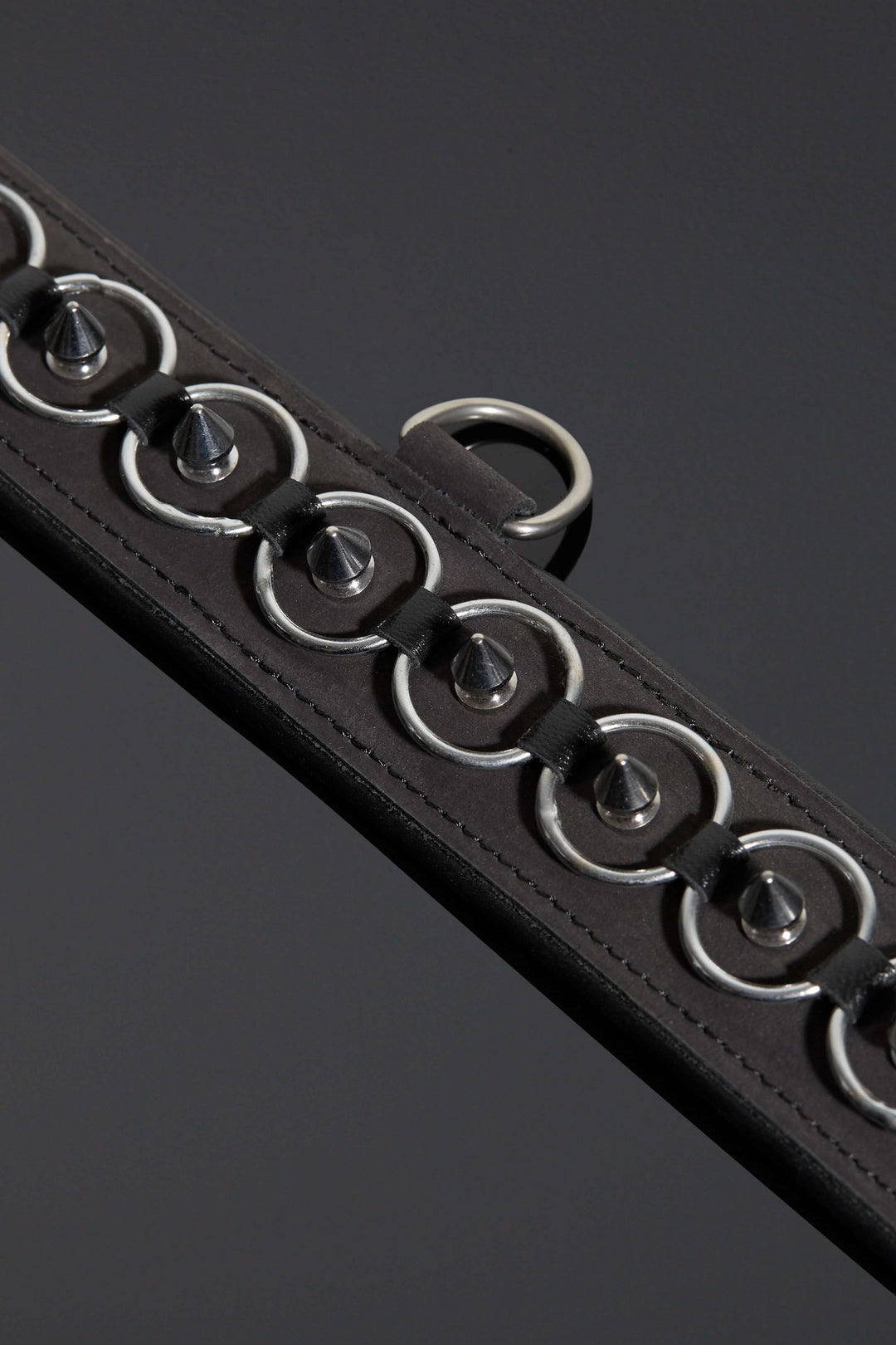 House of SXN Servus Leather BDSM Slave Collar
