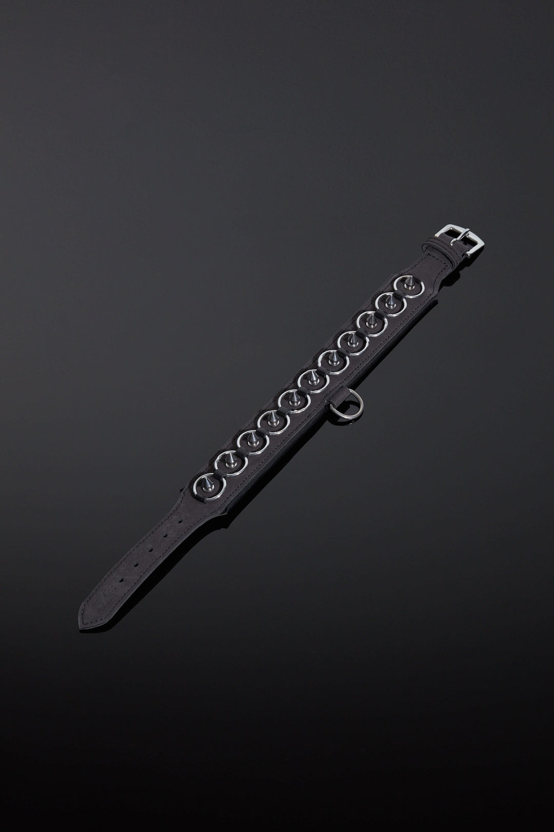 House of SXN Servus Leather BDSM Slave Collar