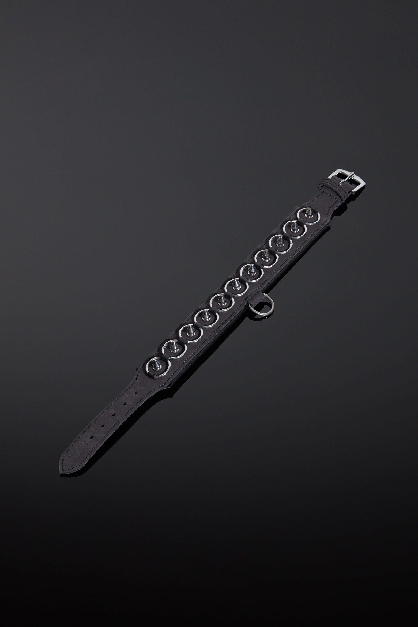 House of SXN Servus Leather BDSM Slave Collar