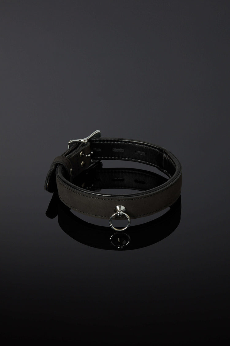 House of SXN Subtilis Nubuck Collar