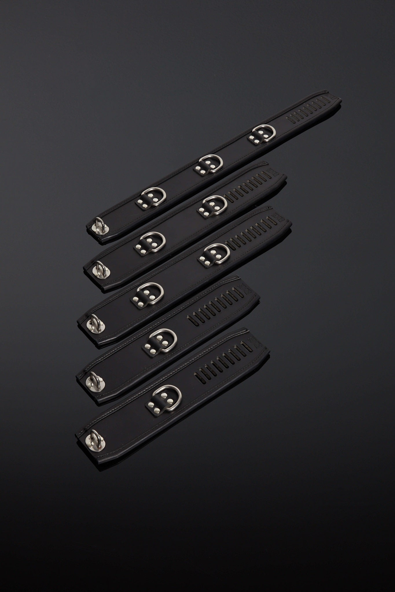 House of SXN Ultra Asylum 5 Piece Leather Restraint Set