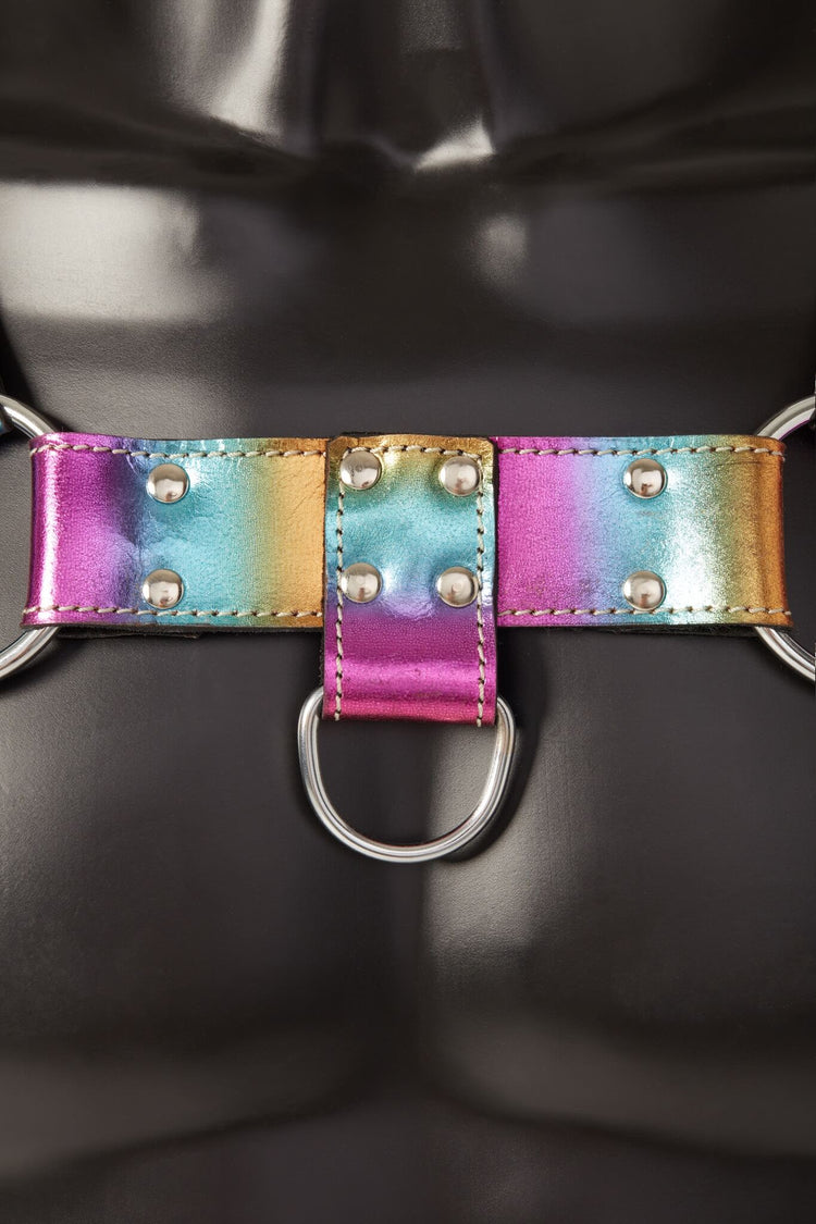 Iris Rainbow Leather Chest Harness