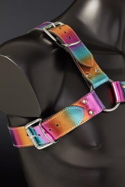 Iris Rainbow Leather Chest Harness