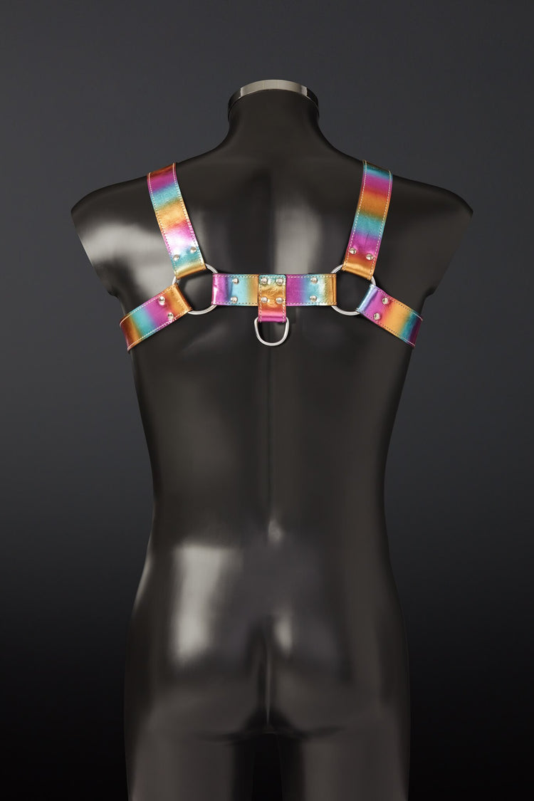 Iris Rainbow Leather Chest Harness