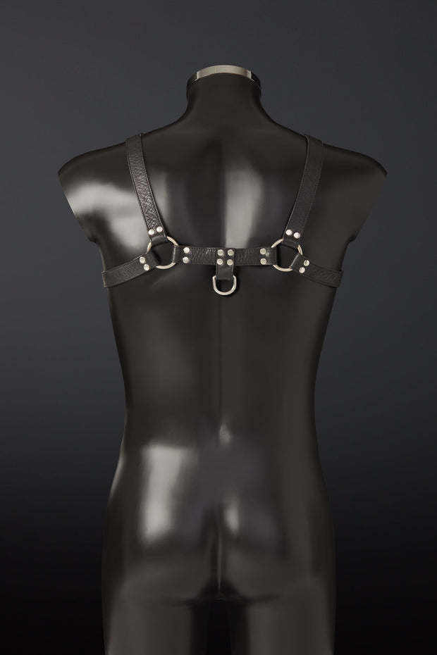 House of SXN Classic Leather Chest Harness 