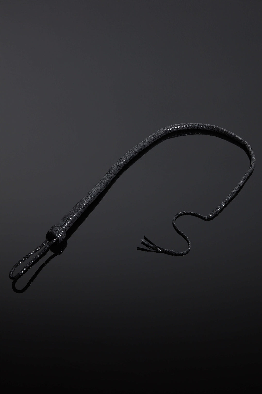 House of SXN Snake Leather Whip (4)