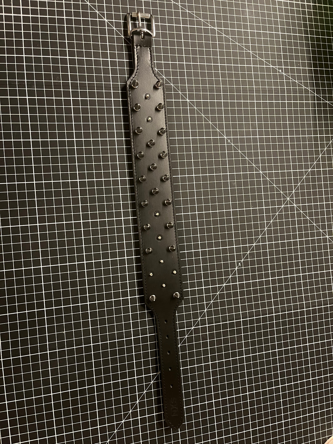 Spike D Leather Collar - Missing Spikes