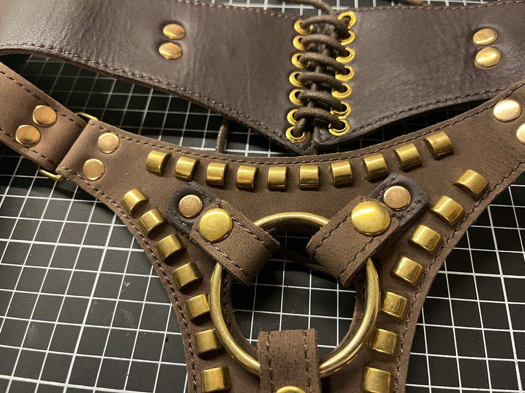 Deep Oiled Italian Leather Strap on harness with gold hardware - Sample