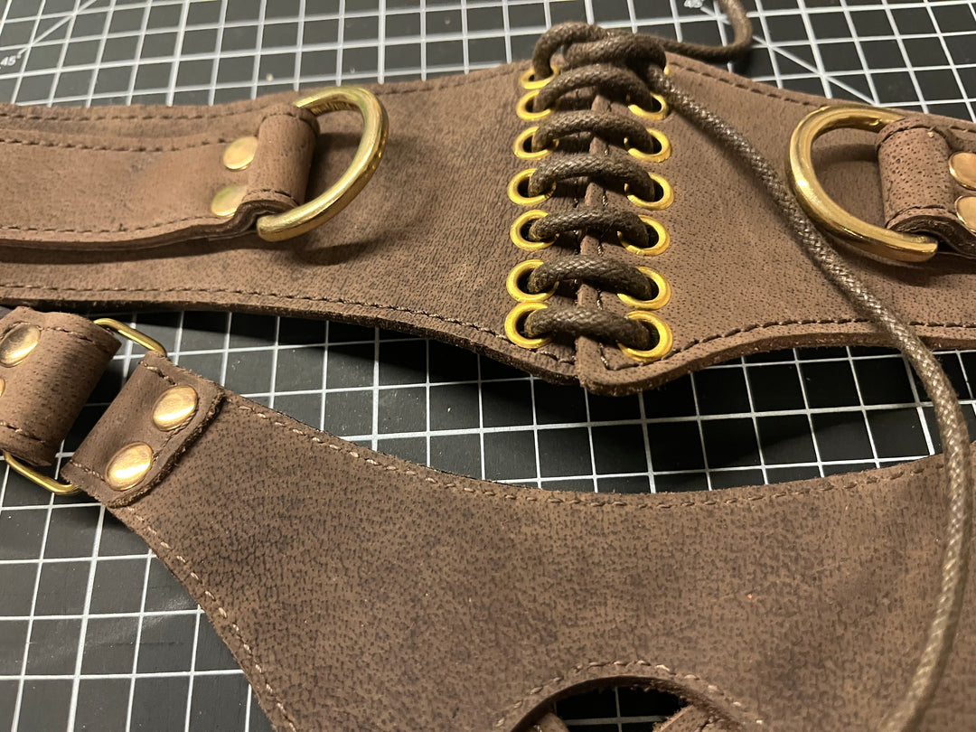 Deep Oiled Italian Leather Strap on harness with gold hardware - Sample